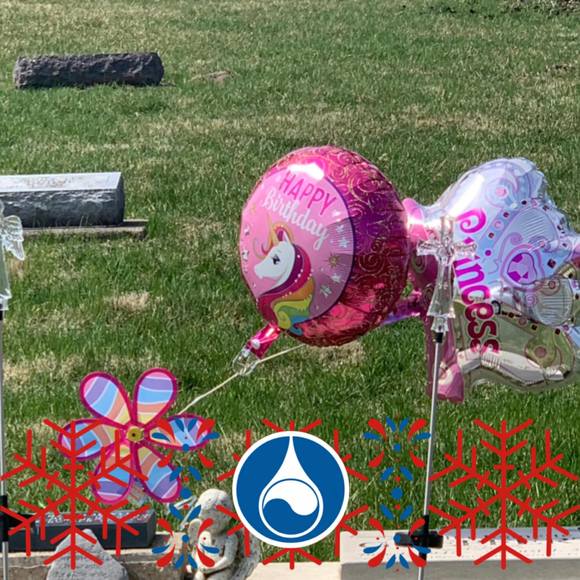 Meet your Posher, Sonia - Picture 1 of 1